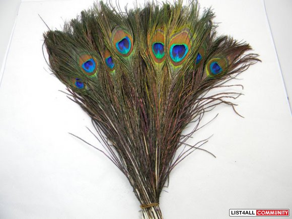New Natural Peacock tail feathers,about 26-30cm (11")