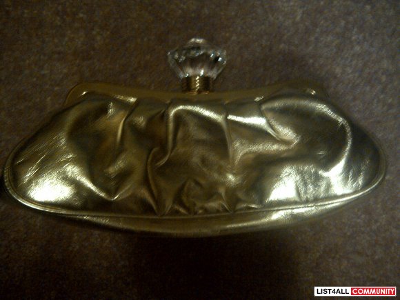 aldo gem clutch
