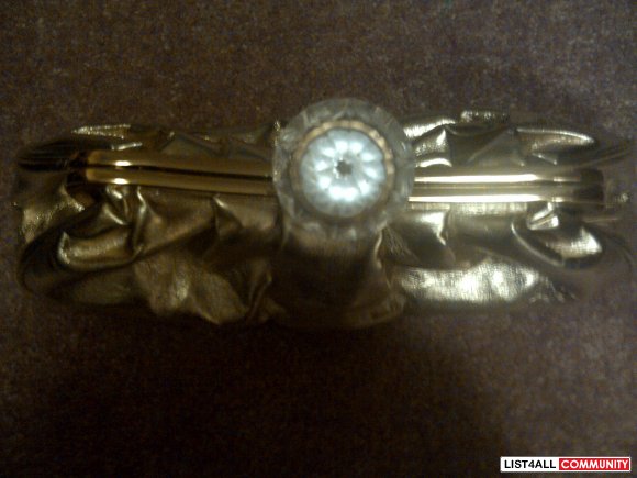 aldo gem clutch