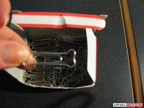 Bone Shaped Paperclips!
