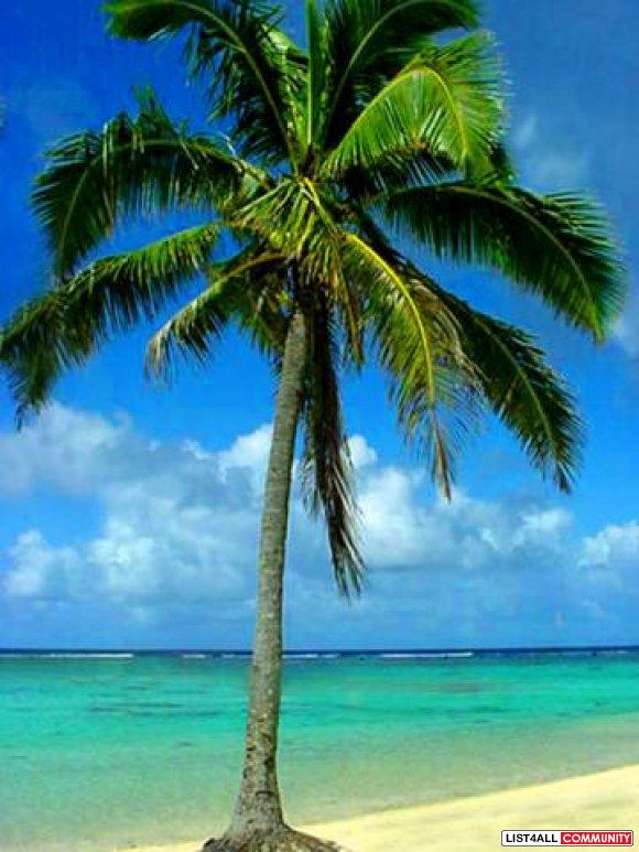 Need A TRAVEL Consultant