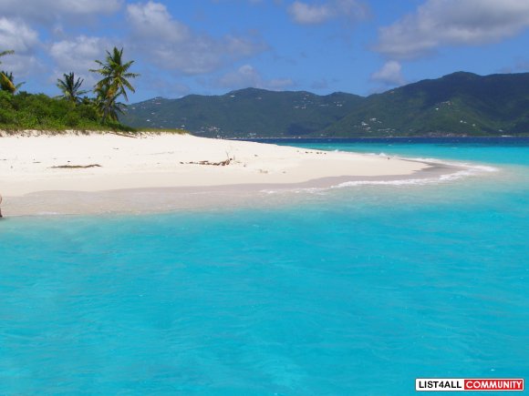 Need A TRAVEL Consultant